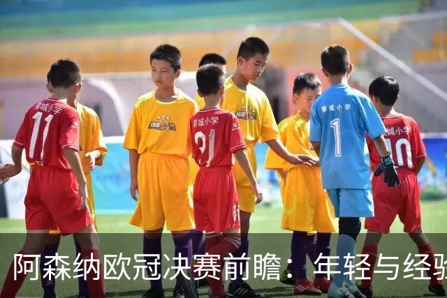 阿森纳欧冠决赛前瞻：年轻与经验的博弈，埃布埃的精彩分析！